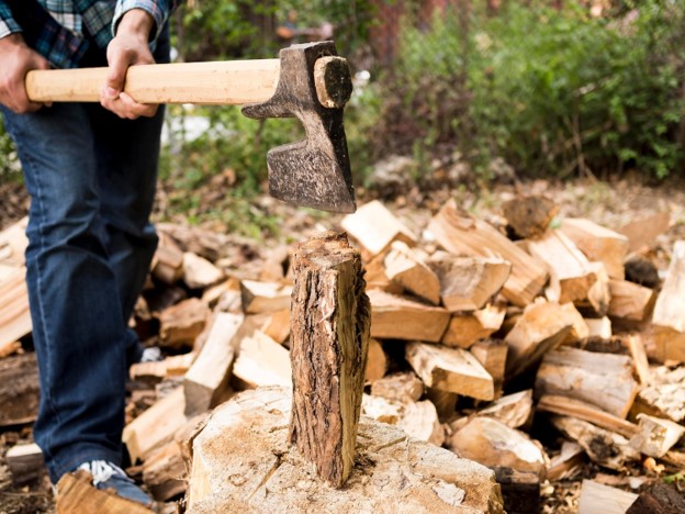Tree Removal service
