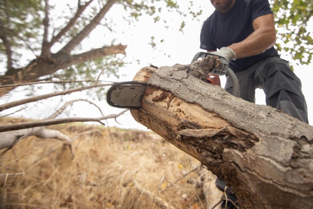 Stump Grinding Broadmeadows