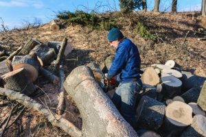 Stump Grinding Craigieburn