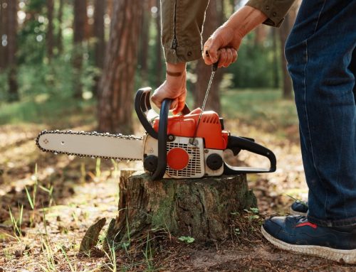 How to Fill and Level the Ground After Stump Grinding