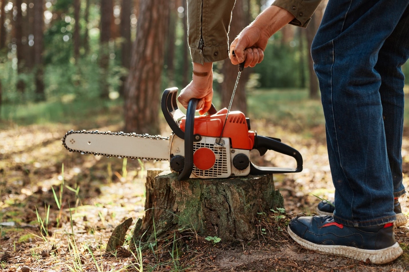 Stump Grinding Lalor