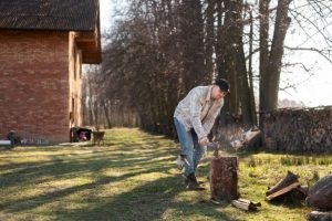 Stump Grinding Roxbough Park