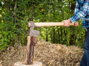 Stump Grinding West Meadows